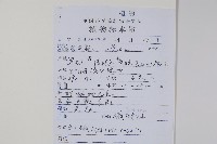 元寶楓, 地錦槭藏品圖，第2張