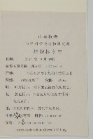 密毛白蓮蒿藏品圖，第2張