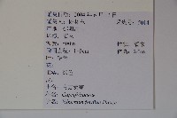 南方莢迷藏品圖，第2張