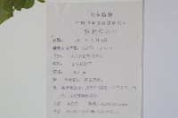 馬兜鈴藏品圖，第2張