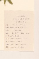 佩蘭藏品圖，第2張