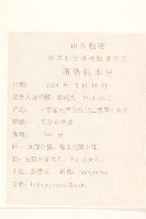 旋覆花藏品圖，第2張