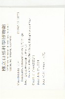 斑花青牛膽藏品圖，第2張