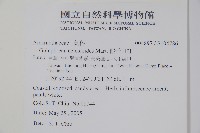 假千日紅藏品圖，第2張