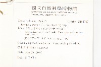 野牽牛藏品圖，第2張