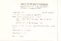 鯽魚膽、闊苞菊藏品圖，第2張