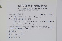 番杏藏品圖，第2張