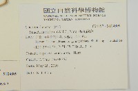 裸花鹼蓬藏品圖，第2張