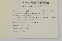 馬氏濱藜藏品圖，第2張