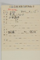 大刺兒菜藏品圖，第2張