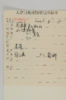 大刺兒菜藏品圖，第2張