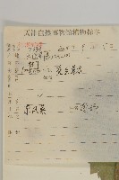 東風菜藏品圖，第2張