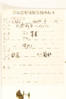 腺梗豨薟藏品圖，第2張