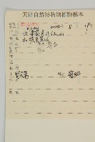 野艾蒿藏品圖，第2張