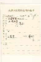 鵝仔草藏品圖，第2張