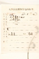 鵝仔草藏品圖，第2張