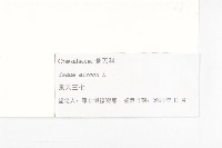 費菜藏品圖，第3張