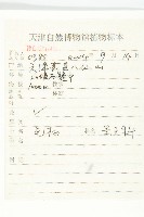 瓦松藏品圖，第2張