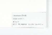 費菜藏品圖，第3張