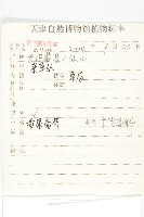 垂果南芥菜藏品圖，第2張