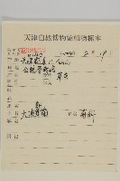 大波斯菊藏品圖，第2張