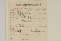 小紅菊藏品圖，第2張