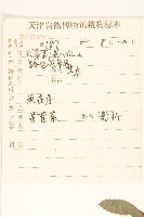 長裂苦苣菜藏品圖，第2張