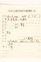 登錄號:S105075藏品圖，第2張