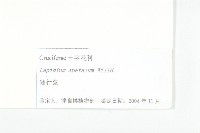 腺獨行菜藏品圖，第3張