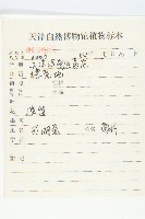 泥胡菜藏品圖，第2張