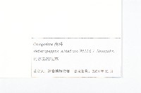 阿爾泰狗哇花藏品圖，第3張