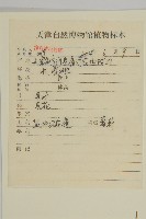 鹽地鹼蓬藏品圖，第2張