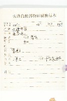 諸葛菜藏品圖，第2張