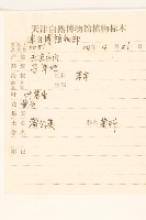 蒲公英藏品圖，第2張