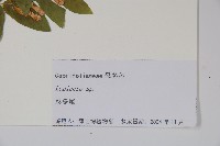 登錄號:S105128藏品圖，第2張