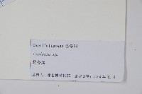 登錄號:S105130藏品圖，第2張