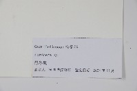 登錄號:S105143藏品圖，第2張