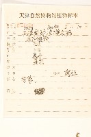 兔仔菜藏品圖，第2張