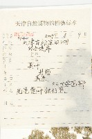 光果寬葉獨行菜藏品圖，第2張