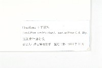 光果寬葉獨行菜藏品圖，第3張