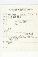 槭葉蔦蘿藏品圖，第2張