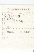 打碗花藏品圖，第2張