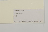 登錄號:S105223藏品圖，第3張