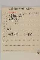 杓兒菜藏品圖，第2張