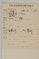 杓兒菜藏品圖，第2張