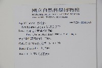 草野氏冬青藏品圖，第2張