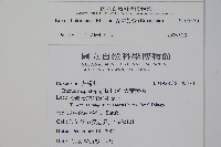 琉球黃楊藏品圖，第2張