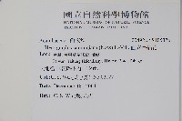 直立半插花藏品圖，第2張