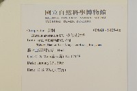 薄葉艾納香藏品圖，第2張