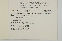 草珊瑚、紅果金粟蘭藏品圖，第2張